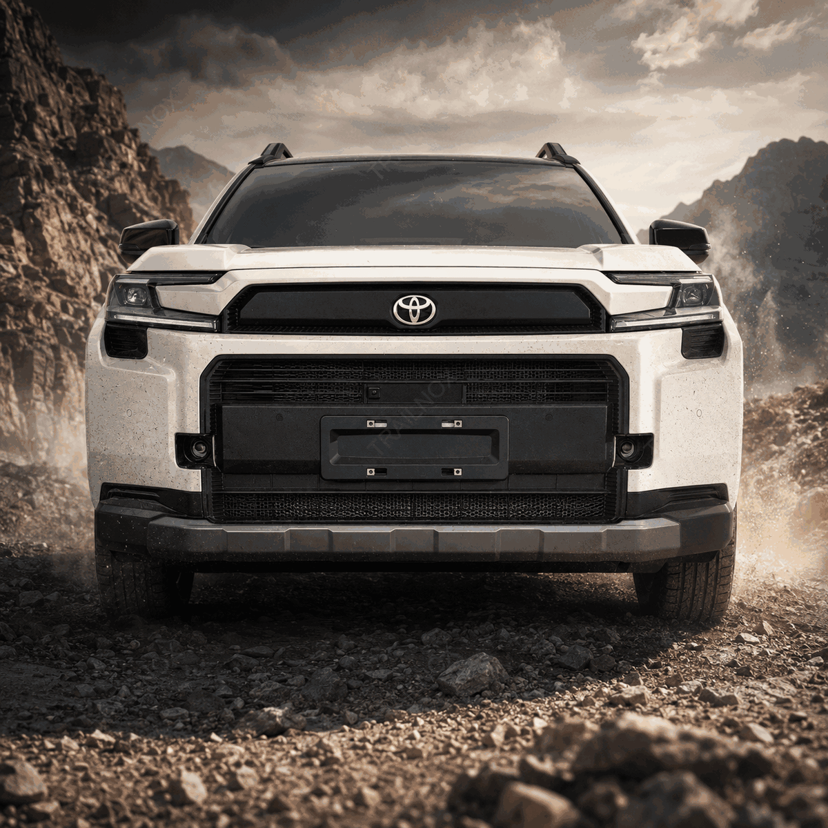 RAV4 Radiator Bug Screen For Toyota