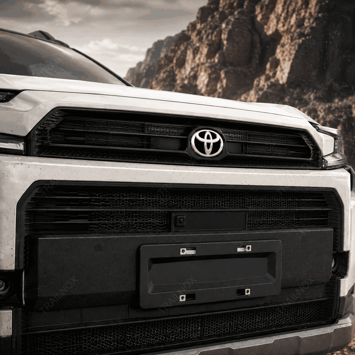 RAV4 Radiator Bug Screen For Toyota